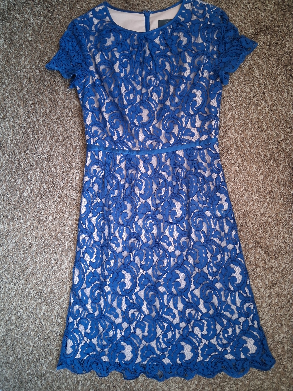 Royal Blue Lace Overlay Short Sleeve Dress